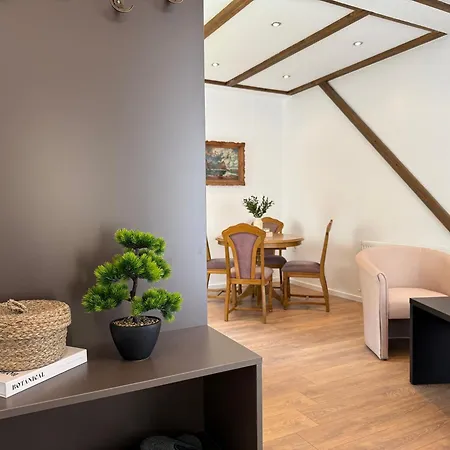 Bor Apartment *